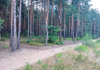 działka na sprzedaż - Poraj, Żarki-Letnisko